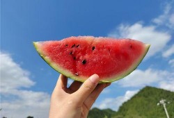 夏天吃瓜好时节,瓜果飘香——夏季吃瓜指南