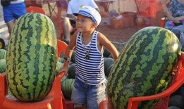 教室桌子上吃瓜