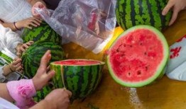 保定吃瓜相关视频,揭秘网络热传视频背后的故事