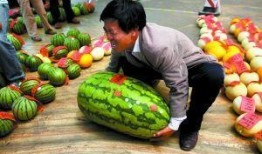 深圳沙井疫情吃瓜,吃瓜群众视角下的社区防疫众生相