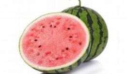 吃麒麟瓜放屁,吃出欢乐放屁时光