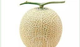 吃网纹瓜,探寻夏日消暑佳品