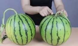 广州林同学吃瓜,揭秘网络热点的幕后故事