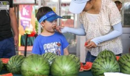 玲玲吃瓜,揭秘娱乐圈背后的甜蜜与苦涩