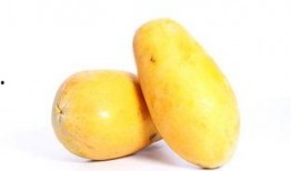 直播吃青皮瓜,挑战吃青皮瓜，网友惊呼“舌尖上的冒险”