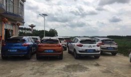 车友会吃瓜投稿,揭秘吃瓜投稿背后的精彩故事