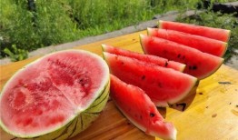 夏天吃瓜好时节,瓜果飘香——夏季吃瓜指南