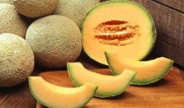 哈密瓜可以和西红柿吃吗