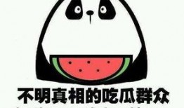 你的吃瓜朋友,一场趣味横生的社交盛宴