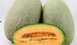 仔仔吃哈密瓜,仔仔的哈密瓜美食之旅