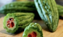 yes吃瓜,揭秘娱乐圈那些不为人知的幕后故事