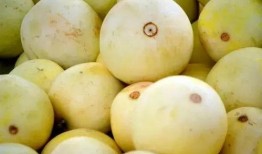 命友吃瓜,揭秘娱乐圈背后的那些事儿