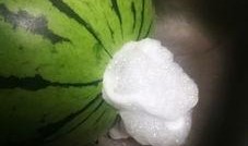 吃变质瓜,揭秘变质瓜的危害与防范