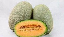 唐十八吃瓜9,揭秘宫廷秘闻的趣味解读