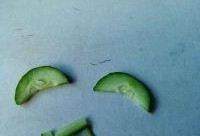 老鼠吃瓜怎么处理最好,老鼠偷吃瓜，这样做最有效