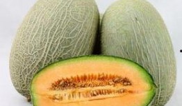 哈密瓜可以和西红柿吃吗