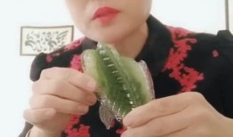 老姨吃哈密瓜,甜蜜回忆与味蕾之旅