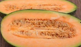 不能和什么一起吃哈密瓜,揭秘不能与哪些食物同食