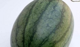 空腹吃瓜干,揭秘健康与美味并存的小零食