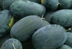 泡泡视频吃瓜区域