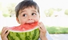 吃瓜泡泡鱼,吃瓜泡泡鱼的独特魅力