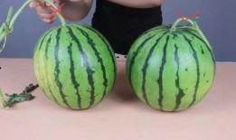 不甜吃瓜,品味清新生活新风尚