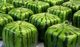 哪里方便吃瓜,跟随“哪里方便吃瓜”探寻清凉美食之旅