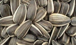 孕期吃小瓜,小瓜助力母婴健康