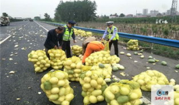 河南姐弟吃瓜,夏日田园欢乐多