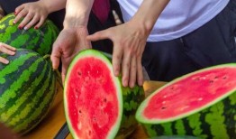 吃瓜工商大学,揭秘校园里的“瓜田”趣事与成长故事”