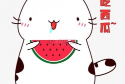 吃瓜动态素材下载,揭秘吃瓜群众的下载狂欢