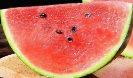 王在在吃瓜,王在在的瓜田奇遇记