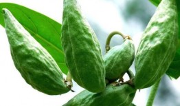 牛角密瓜怎么吃