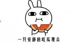 啥子是吃瓜群众