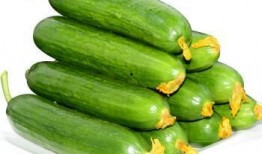 橙色吃瓜头像男,揭秘橙色吃瓜头像背后的故事