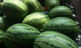 光遇吊床吃瓜,揭秘神秘吃瓜事件背后的秘密