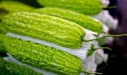 孕妇可以吃芦瓜,芦瓜助力母婴健康