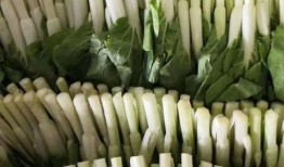 泉州主播吃瓜,趣味横生引网友热议