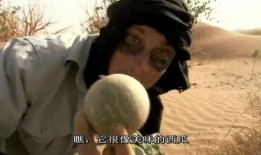 贝尔吃沙漠瓜,沙漠瓜果的奇妙之旅