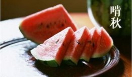 吃瓜公司南京,吃瓜公司背后的故事与影响