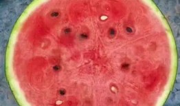 哪里方便吃瓜,跟随“哪里方便吃瓜”探寻清凉美食之旅