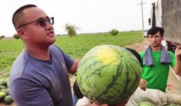 天天吃瓜图片,跟随“天天吃瓜”图片，探寻生活百态