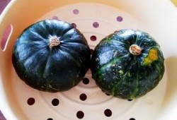 糯米公主吃瓜,糯米公主的甜蜜瓜果盛宴