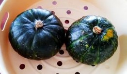 糯米公主吃瓜,糯米公主的甜蜜瓜果盛宴