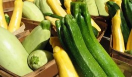 带你吃瓜淄博,带你吃遍“带你吃瓜”特色小吃