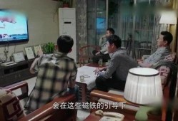 成都吃瓜局长,网络舆论下的权力与监督