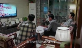 成都吃瓜局长,网络舆论下的权力与监督