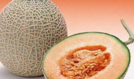 吃完涮羊肉吃哈密瓜腹泻,饮食搭配需谨慎