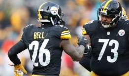 贝尔吃沙漠瓜,沙漠瓜果的奇妙之旅