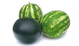 汶上的吃瓜事件,一场引发热议的网络狂欢